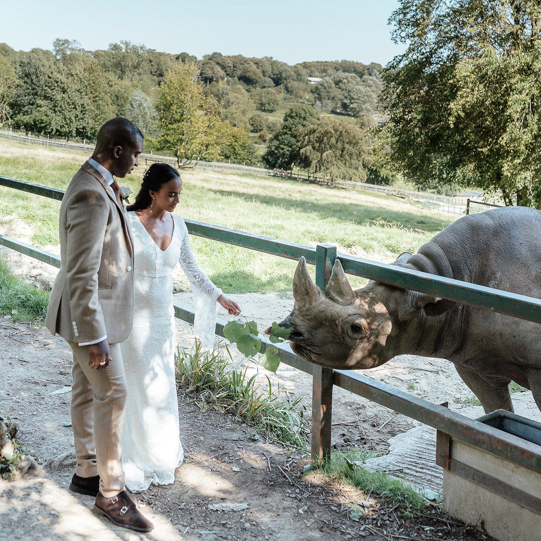 safari wedding inspiration, weddings ate Port Lympne