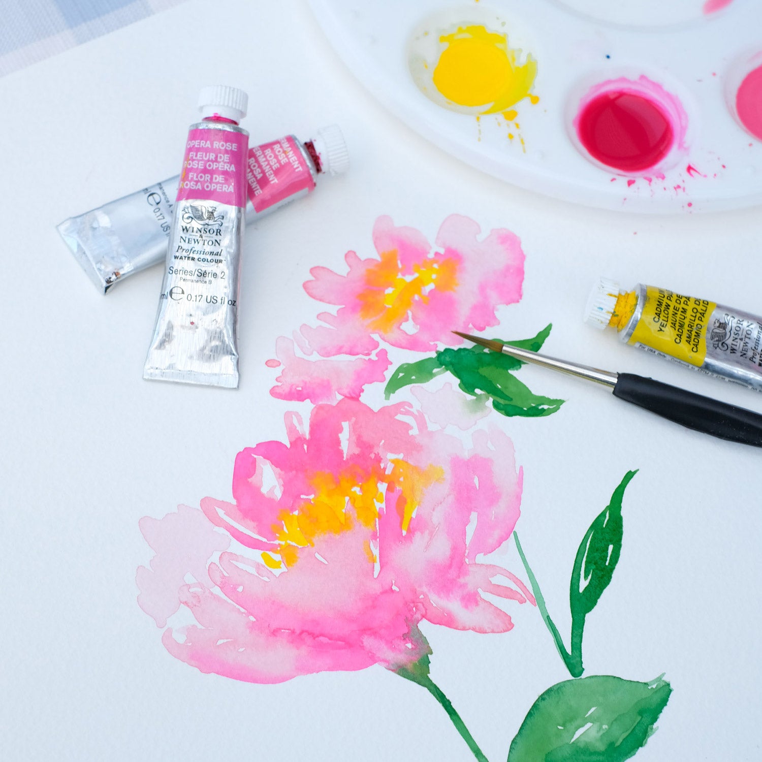 watercolour illustration of hot pink peonies